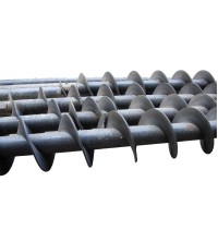 Auger Helicoid 